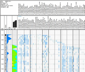 Distribution Chart