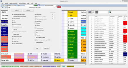 export to excel